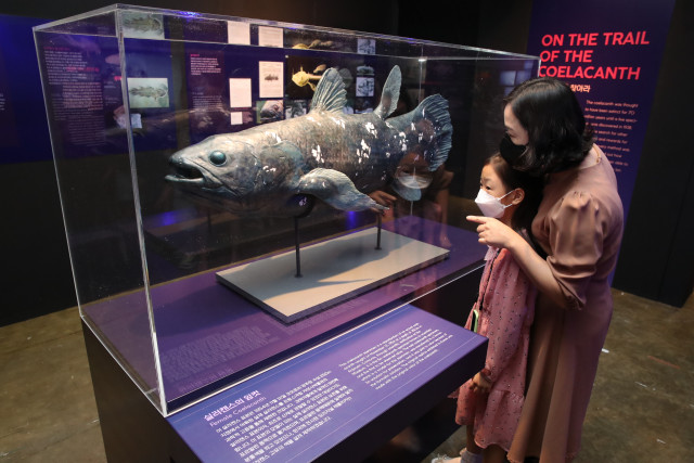프랑스 국립 자연사박물관 특별전 ‘바다, 미지로의 탐험’ 전시장을 찾은 한 가족이 전시장 천장에 설치된 실러캔스 표본을 관람하고 있다