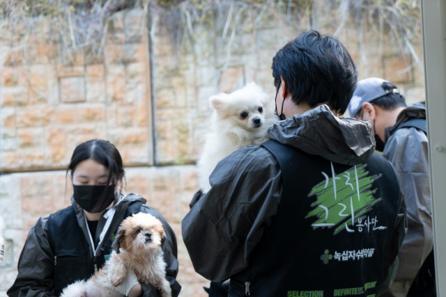 녹십자수의약품 가치그린 봉사단이 구조된 강아지들을 위해 봉사활동을 하고 있다