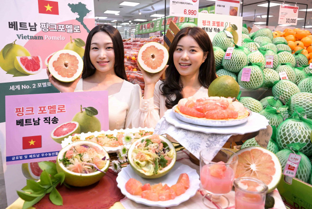 10일 롯데마트 잠실점에서 모델들이 건강 과일로 관심을 받고 있는 베트남 포멜로를 활용한 다양한 요리를 선보이고 있다. 포멜로는 대표적인 저칼로리·저당 과일로, 비타민 C와 칼륨, 식이섬유가 풍부해 봄철에 잘 어울린다