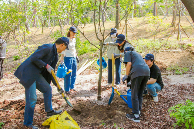 서울그린트러스트와 유한킴벌리가 21일 궁궐숲 가꾸기 캠페인의 일환으로 창경궁 나무심기를 진행했다